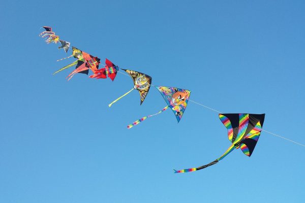 SPD Bad Fallingbostel lädt ein zum Drachenfest